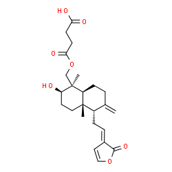 ChemSpider 2D Image | 4-({(1R,2R,4aS,5S,8aS)-2-Hydroxy-1,4a-dimethyl-6-methylene-5-[(2E)-2-(2-oxo-3(2H)-furanylidene)ethyl]decahydro-1-naphthalenyl}methoxy)-4-oxobutanoic acid | C24H32O7