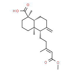 ChemSpider 2D Image | (1R,4aR,5S,8aR)-5-[(3E)-5-Methoxy-3-methyl-5-oxo-3-penten-1-yl]-1,4a-dimethyl-6-methylenedecahydro-1-naphthalenecarboxylic acid | C21H32O4