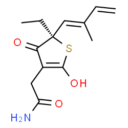 ChemSpider 2D Image | 2-{(5R)-5-Ethyl-2-hydroxy-5-[(1E)-2-methyl-1,3-butadien-1-yl]-4-oxo-4,5-dihydro-3-thiophenyl}acetamide | C13H17NO3S