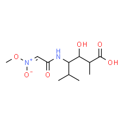 ChemSpider 2D Image | 3-Hydroxy-4-({(2E)-2-[methoxy(oxido)-lambda~5~-azanylidene]acetyl}amino)-2,5-dimethylhexanoic acid | C11H20N2O6