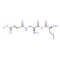 ChemSpider 2D Image | (2S)-2-Amino-3-{[(2E)-4-methoxy-4-oxo-2-butenoyl]amino}propanoyl L-norvalinate | C13H21N3O6