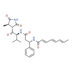 ChemSpider 2D Image | (2E,4E,6E)-N-[(1S)-3-({(2S)-3-Methyl-1-[(3S,4R)-4-methyl-2,5-dioxo-3-pyrrolidinyl]-1-oxo-2-butanyl}amino)-3-oxo-1-phenylpropyl]-2,4,6-octatrienamide | C27H33N3O5