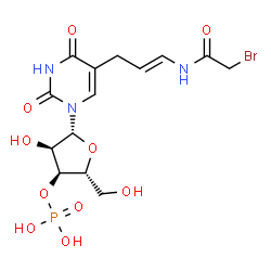 ChemSpider 2D Image | 5-{(2E)-3-[(Bromoacetyl)amino]-2-propen-1-yl}uridine 3'-(dihydrogen phosphate) | C14H19BrN3O10P