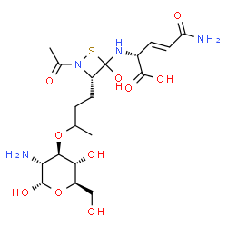 ChemSpider 2D Image | 3-O-{4-[(3S)-2-Acetyl-4-{[(1R,2E)-4-amino-1-carboxy-4-oxo-2-buten-1-yl]amino}-4-hydroxy-1,2-thiazetidin-3-yl]-2-butanyl}-2-amino-2-deoxy-alpha-D-glucopyranose | C19H32N4O10S