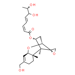 ChemSpider 2D Image | (4alpha,6beta)-16-Hydroxy-12,13-epoxytrichothec-9-en-4-yl (2Z,4E,7S)-6,7-dihydroxy-2,4-octadienoate | C23H32O7