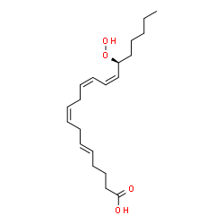 ChemSpider 2D Image | (5E,8Z,11Z,13Z,15S)-15-Hydroperoxy-5,8,11,13-icosatetraenoic acid | C20H32O4
