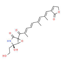 ChemSpider 2D Image | (4R,5R)-4-Hydroxy-4-(2-hydroxyethyl)-1-[(2E,4E,6E,8E)-2,6,8-trimethyl-9-(2-oxo-2,5-dihydro-3-furanyl)-2,4,6,8-nonatetraenoyl]-6-oxa-3-azabicyclo[3.1.0]hexan-2-one | C22H25NO7