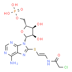 ChemSpider 2D Image | 8-({(E)-2-[(Chloroacetyl)amino]vinyl}sulfanyl)adenosine 5'-(dihydrogen phosphate) | C14H18ClN6O8PS