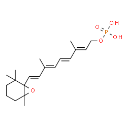 ChemSpider 2D Image | (2E,4E,6E,8E)-3,7-Dimethyl-9-(2,2,6-trimethyl-7-oxabicyclo[4.1.0]hept-1-yl)-2,4,6,8-nonatetraen-1-yl dihydrogen phosphate | C20H31O5P