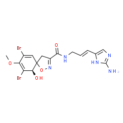 ChemSpider 2D Image | (10R)-N-[(2E)-3-(2-Amino-1H-imidazol-5-yl)-2-propen-1-yl]-7,9-dibromo-10-hydroxy-8-methoxy-1-oxa-2-azaspiro[4.5]deca-2,6,8-triene-3-carboxamide | C16H17Br2N5O4