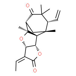 ChemSpider 2D Image | (1R,2S,3S,6Z,7S,9R,10R,13R)-6-Ethylidene-1,9,12,12-tetramethyl-13-vinyl-4,8-dioxatetracyclo[8.3.1.0~2,9~.0~3,7~]tetradecane-5,11-dione | C20H26O4