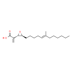 ChemSpider 2D Image | 2-{(2S,3S)-3-[(5E)-6-Methyl-5-dodecen-1-yl]-2-oxiranyl}acrylic acid | C18H30O3