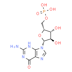 ChemSpider 2D Image | 2-amino-9-(5-O-phosphono-beta-D-xylofuranosyl)-1,9-dihydro-6H-purin-6-one | C10H14N5O8P