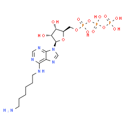 ChemSpider 2D Image | N-(6-Aminohexyl)adenosine 5'-(tetrahydrogen triphosphate) | C16H29N6O13P3