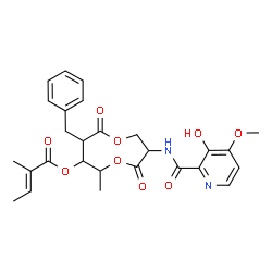 ChemSpider 2D Image | 8-Benzyl-3-{[(3-hydroxy-4-methoxy-2-pyridinyl)carbonyl]amino}-6-methyl-4,9-dioxo-1,5-dioxonan-7-yl (2E)-2-methyl-2-butenoate | C27H30N2O9