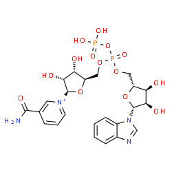 ChemSpider 2D Image | [(2R,3S,4R,5R)-5-(benzimidazol-1-yl)-3,4-dihydroxy-tetrahydrofuran-2-yl]methyl [(2R,3S,4R,5R)-5-(3-carbamoylpyridin-1-ium-1-yl)-3,4-dihydroxy-tetrahydrofuran-2-yl]methyl phosphono phosphate | C23H29N4O14P2