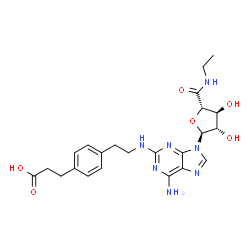 ChemSpider 2D Image | 3-{4-[2-({6-Amino-9-[(2S,3S,4S,5S)-5-(ethylcarbamoyl)-3,4-dihydroxytetrahydro-2-furanyl]-9H-purin-2-yl}amino)ethyl]phenyl}propanoic acid | C23H29N7O6