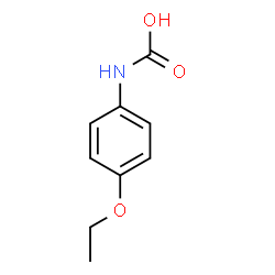 ChemSpider 2D Image | (4-Ethoxyphenyl)carbamic acid | C9H11NO3