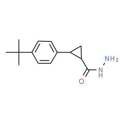 ChemSpider 2D Image | 2-(4-tert-butylphenyl)cyclopropane-1-carbohydrazide | C14H20N2O