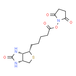 ChemSpider 2D Image | (+)-Biotin N-hydroxysuccinimide ester | C14H19N3O5S