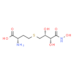 ChemSpider 2D Image | S-[(2R,3R)-2,3-Dihydroxy-4-(hydroxyamino)-4-oxobutyl]-L-homocysteine | C8H16N2O6S