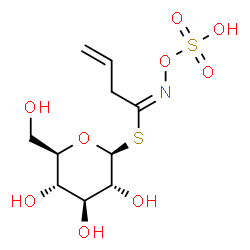 ChemSpider 2D Image | 1-S-[(1E)-N-(Sulfooxy)-3-butenimidoyl]-1-thio-beta-D-glucopyranose | C10H17NO9S2