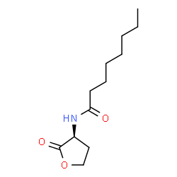 ChemSpider 2D Image | C8-HSL | C12H21NO3