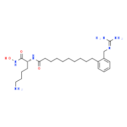 ChemSpider 2D Image | N-[(2R)-6-Amino-1-(hydroxyamino)-1-oxo-2-hexanyl]-10-(2-{[(diaminomethylene)amino]methyl}phenyl)decanamide | C24H42N6O3