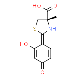 ChemSpider 2D Image | (2Z,4S)-2-(2-Hydroxy-4-oxo-2,5-cyclohexadien-1-ylidene)-4-methyl-1,3-thiazolidine-4-carboxylic acid | C11H11NO4S
