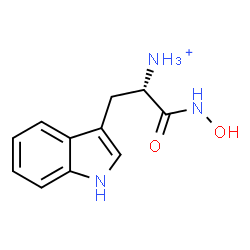 ChemSpider 2D Image | (2S)-1-(Hydroxyamino)-3-(1H-indol-3-yl)-1-oxo-2-propanaminium | C11H14N3O2