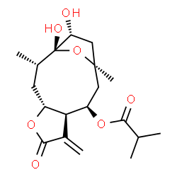 ChemSpider 2D Image | (2S,4R,8S,9R,13R)-1,13-Dihydroxy-2,11-dimethyl-7-methylene-6-oxo-5,14-dioxatricyclo[9.2.1.0~4,8~]tetradec-9-yl 2-methylpropanoate | C19H28O7