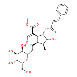 ChemSpider 2D Image | Methyl (1S,4aS,5S,6R,7S,7aR)-1-(beta-D-gulopyranosyloxy)-6-hydroxy-7-methyl-5-{[(2E)-3-phenyl-2-propenoyl]oxy}-1,4a,5,6,7,7a-hexahydrocyclopenta[c]pyran-4-carboxylate | C26H32O12