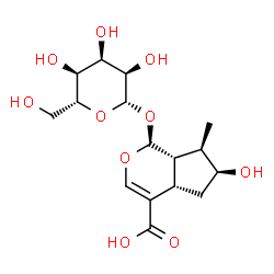 ChemSpider 2D Image | (1S,4aS,6S,7R,7aS)-1-(beta-D-Allopyranosyloxy)-6-hydroxy-7-methyl-1,4a,5,6,7,7a-hexahydrocyclopenta[c]pyran-4-carboxylic acid | C16H24O10
