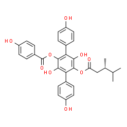 ChemSpider 2D Image | 5'-{[(3S)-3,4-Dimethylpentanoyl]oxy}-3',4,4'',6'-tetrahydroxy-1,1':4',1''-terphenyl-2'-yl 4-hydroxybenzoate | C32H30O9