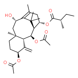 ChemSpider 2D Image | (2alpha,5alpha,10beta,14beta)-2,5-Diacetoxy-10-hydroxytaxa-4(20),11-dien-14-yl (2S)-2-methylbutanoate | C29H44O7