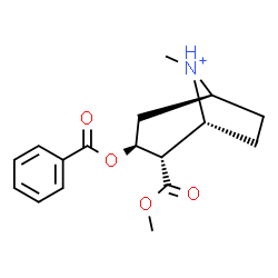 ChemSpider 2D Image | (1R,2S,3S,5S)-3-(Benzoyloxy)-2-(methoxycarbonyl)-8-methyl-8-azoniabicyclo[3.2.1]octane | C17H22NO4