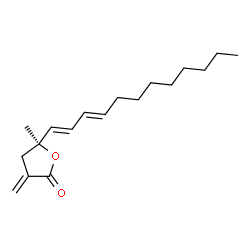 ChemSpider 2D Image | (5S)-5-[(1E,3E)-1,3-Dodecadien-1-yl]-5-methyl-3-methylenedihydro-2(3H)-furanone | C18H28O2