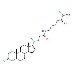 ChemSpider 2D Image | N~6~-[(5beta)-3,24-Dioxocholan-24-yl]-L-lysine | C30H50N2O4