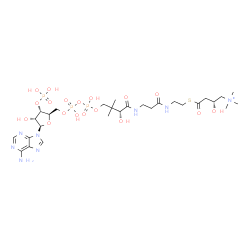 ChemSpider 2D Image | (9R,21R)-1-[(2R,3S,4R,5R)-5-(6-Amino-9H-purin-9-yl)-4-hydroxy-3-(phosphonooxy)tetrahydro-2-furanyl]-3,5,9,21-tetrahydroxy-N,N,N,8,8-pentamethyl-10,14,19-trioxo-2,4,6-trioxa-18-thia-11,15-diaza-3,5-dip
hosphadocosan-22-aminium 3,5-dioxide | C28H50N8O18P3S