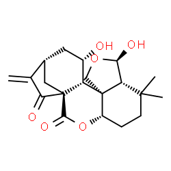 ChemSpider 2D Image | (1S,4S,8R,9R,12S,13R,14S,16S)-9,14-Dihydroxy-7,7-dimethyl-17-methylene-3,10-dioxapentacyclo[14.2.1.0~1,13~.0~4,12~.0~8,12~]nonadecane-2,18-dione | C20H26O6