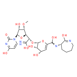 ChemSpider 2D Image | (2R,3S,4S)-3,4-Dihydroxy-2-{(1S)-2-hydroxy-1-[(2S,3S,4R,5R)-4-hydroxy-5-(4-hydroxy-2-oxo-1(2H)-pyrimidinyl)-3-methoxytetrahydro-2-furanyl]-2-iminoethoxy}-N-[(6S)-7-hydroxy-3,4,5,6-tetrahydro-2H-azepin
-6-yl]-3,4-dihydro-2H-pyran-6-carboximidic acid (non-preferred name) | C23H31N5O12