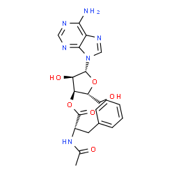 ChemSpider 2D Image | 3'-O-(N-Acetyl-L-phenylalanyl)adenosine | C21H24N6O6