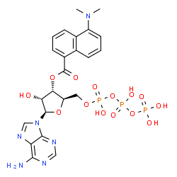 ChemSpider 2D Image | 3'-O-[5-(Dimethylamino)-1-naphthoyl]adenosine 5'-(tetrahydrogen triphosphate) | C23H27N6O14P3