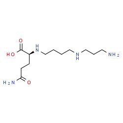 ChemSpider 2D Image | N~2~-{4-[(3-Aminopropyl)amino]butyl}-L-glutamine | C12H26N4O3