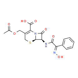 ChemSpider 2D Image | (6R,7R)-3-(Acetoxymethyl)-7-{[(2E)-2-(hydroxyimino)-2-phenylacetyl]amino}-8-oxo-5-thia-1-azabicyclo[4.2.0]oct-2-ene-2-carboxylic acid | C18H17N3O7S