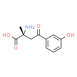 ChemSpider 2D Image | (2R)-2-Amino-4-(3-hydroxyphenyl)-2-methyl-4-oxobutanoic acid | C11H13NO4