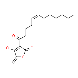 ChemSpider 2D Image | 3-[(5Z)-5-Dodecenoyl]-4-hydroxy-5-methylene-2(5H)-furanone | C17H24O4