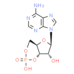 ChemSpider 2D Image | Adenosine cyclic 3',5'-monophosphate | C10H12N5O6P