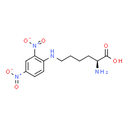 ChemSpider 2D Image | N6-(2,4-Dinitrophenyl)-L-lysine | C12H16N4O6