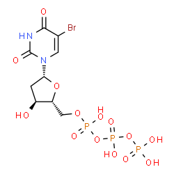 ChemSpider 2D Image | 5-Bromo-2'-deoxyuridine 5'-(tetrahydrogen triphosphate) | C9H14BrN2O14P3